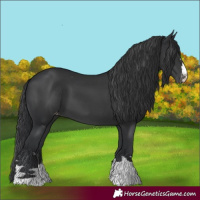 Horse Color:Black Varnish