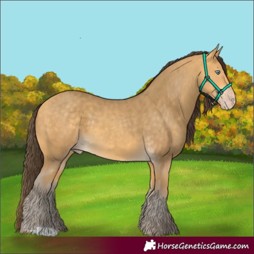 Horse Color:Amber Cream Champagne