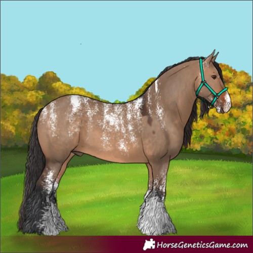 Horse Color:Powder White Brown Dun 