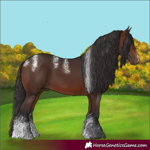 Horse Color:Powder White Brown Sabino 