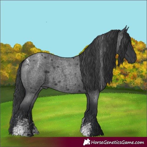 Horse Color:Powder White Blue Roan