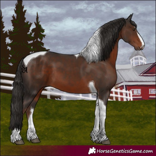 Horse Color:Liver Chestnut Tobiano 
