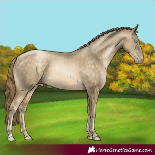 Horse Color:Buckskin Pearl