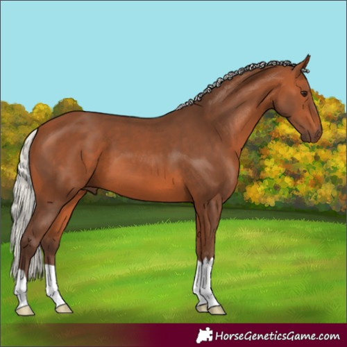 Horse Color:Silver Bay 