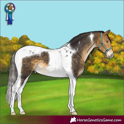 Horse Color:Buckskin Mushroom Tobiano