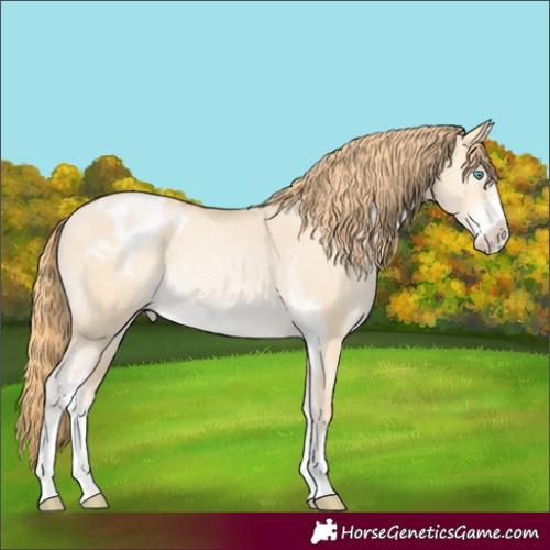 Horse Color:Buckskin Pearl Dun Mushroom Sabino Appaloosa Rabicano Brindle 