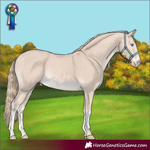 Horse Color:Perlino Mushroom Sabino Tobiano