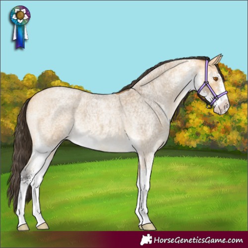 Horse Color:Buckskin Roan Sabino