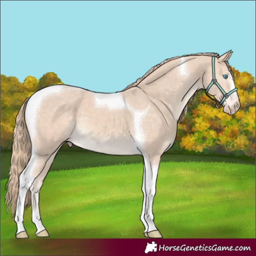 Horse Color:Perlino Tobiano