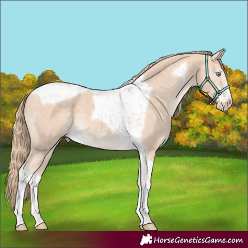 Horse Color:Perlino Tobiano 