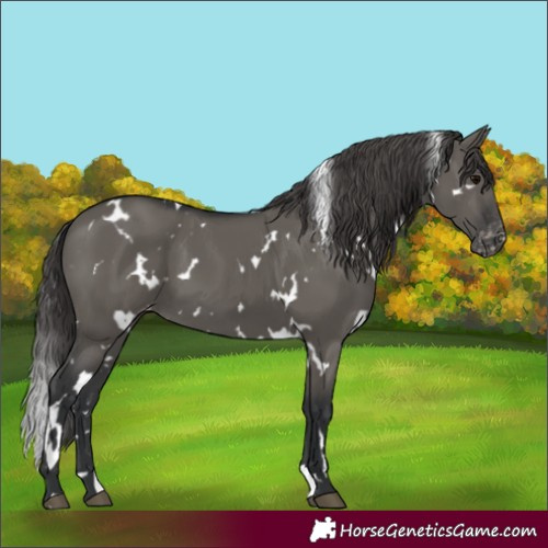 Horse Color:White Spotted Grullo Varnish