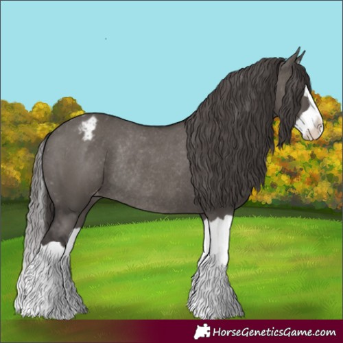 Horse Color:Smoky Grullo Splash Appaloosa Rabicano 