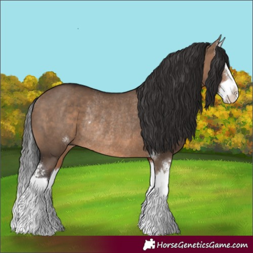 Horse Color:Brown Dun Sabino Splash Rabicano