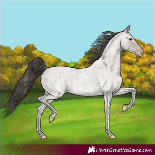 Horse Color:Classic Cream Champagne Ice Roan
