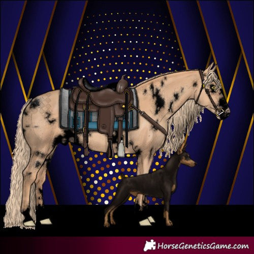 Horse Color:Void White Spotted Gold Champagne