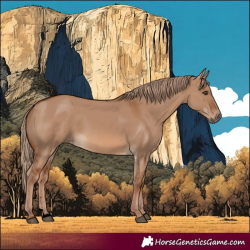 Horse Color:Void Red Dun Rabicano