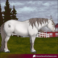 Horse Color:Platinum Liver Red Dun Pearl 