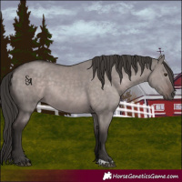 Horse Color:Platinum Liver Red Dun 