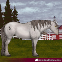 Horse Color:Platinum Brown Pearl Dun 