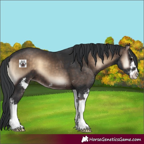 Horse Color:Brown Onyx Sabino