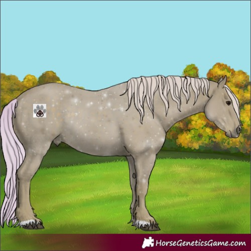 Horse Color:Watercolor Silver Black Rabicano