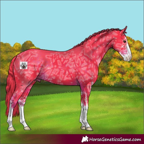 Horse Color:Watercolor Liver Chestnut Ice Sabino 