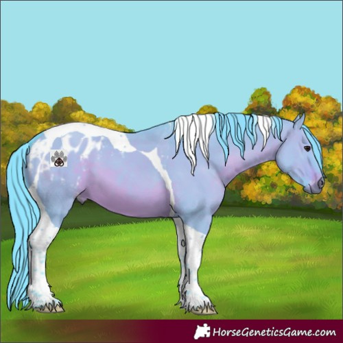 Horse Color:Gray Watercolor Brown Dun Tobiano Appaloosa