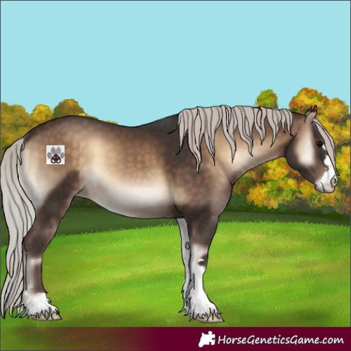 Horse Color:Silver Bay Onyx