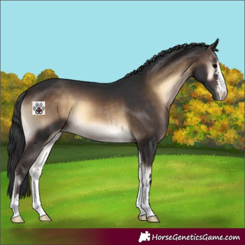Horse Color:Brown Onyx 