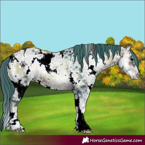 Horse Color:Watercolor White Spotted Bay Ice Onyx 