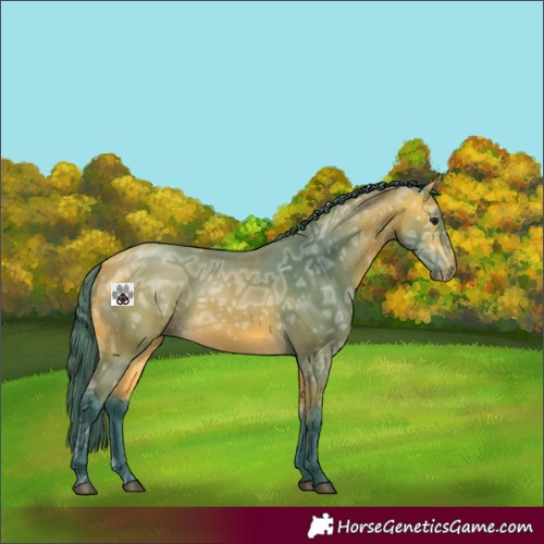 Horse Color:Watercolor Buckskin Ice 