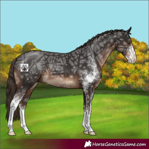 Horse Color:Liver Chestnut Ice Sabino