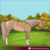Horse Color:Powder White Chocolate Palomino Dun Tobiano 