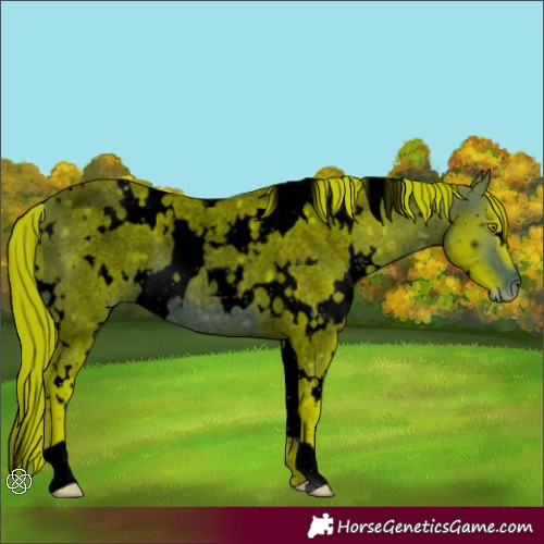 Horse Color:ERROR: UNKNOWN ANOMALY