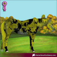 Horse Color:ERROR: UNKNOWN ANOMALY