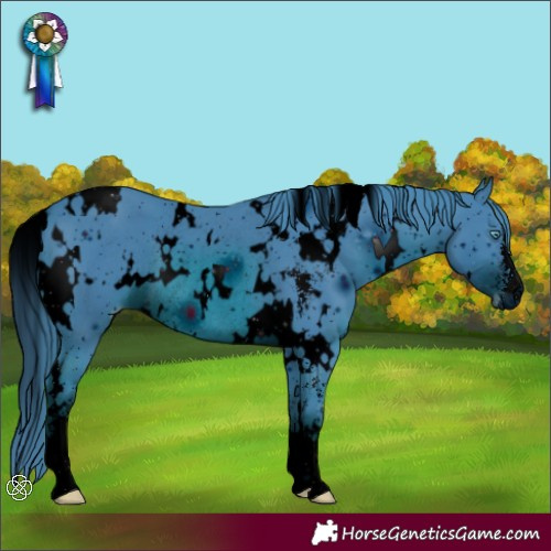 Horse Color:ERROR: UNKNOWN ANOMALY