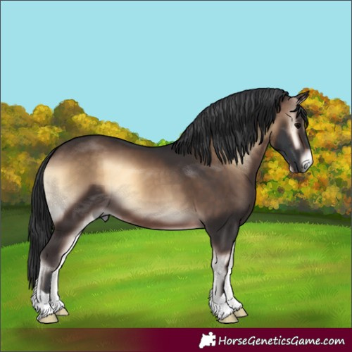Horse Color:Brown Onyx 