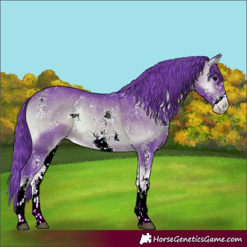 Horse Color:Watercolor Brown Onyx Sabino 