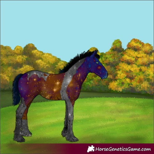 Horse Color:ERROR: UNKNOWN ANOMALY