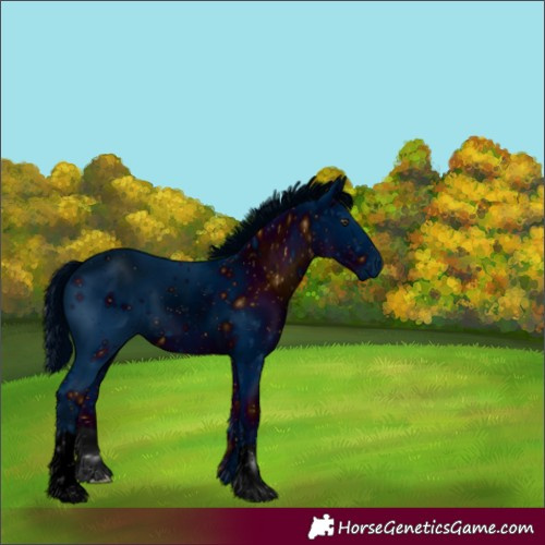 Horse Color:ERROR: UNKNOWN ANOMALY