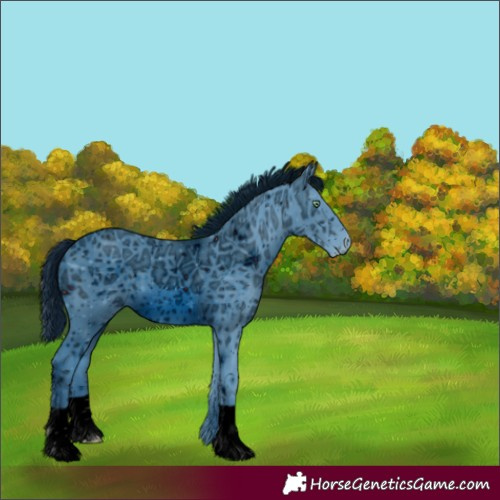Horse Color:ERROR: UNKNOWN ANOMALY