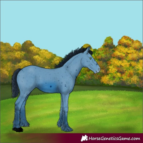 Horse Color:ERROR: UNKNOWN ANOMALY