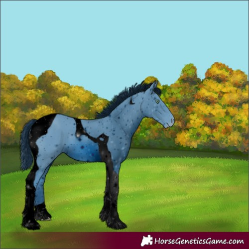 Horse Color:ERROR: UNKNOWN ANOMALY