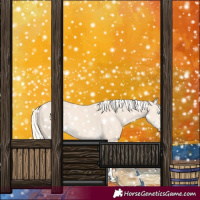 Horse Color:Cremello 