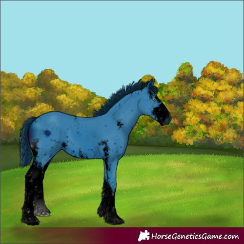 Horse Color:ERROR: UNKNOWN ANOMALY