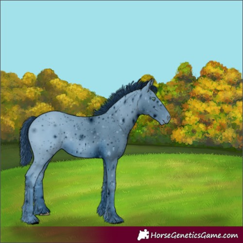 Horse Color:ERROR: UNKNOWN ANOMALY