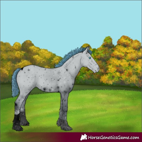 Horse Color:ERROR: UNKNOWN ANOMALY