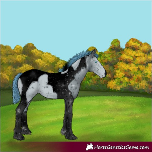 Horse Color:ERROR: UNKNOWN ANOMALY