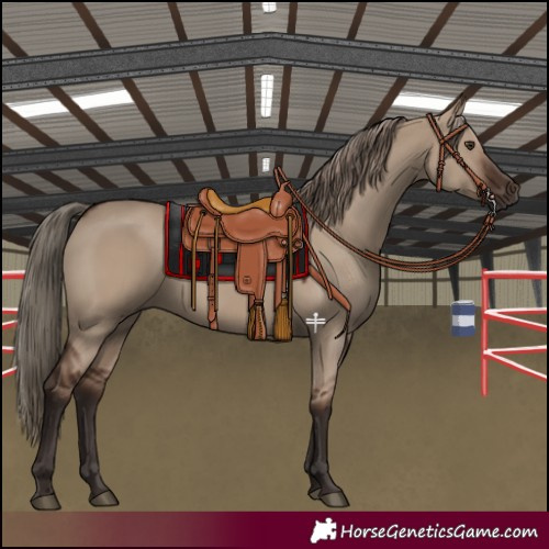 Horse Color:Liver Red Dun 