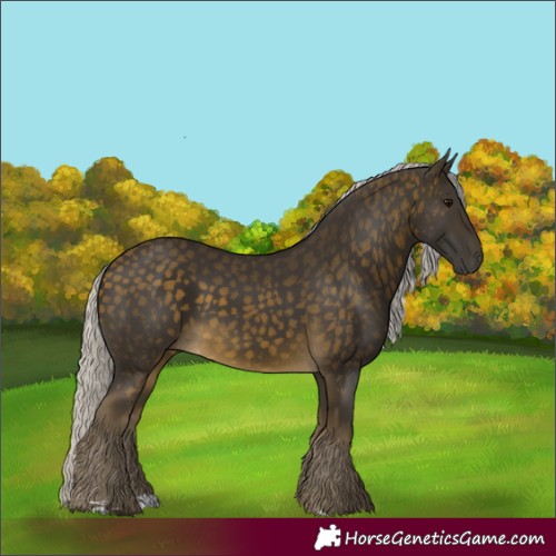 Horse Color:Silver Buckskin 